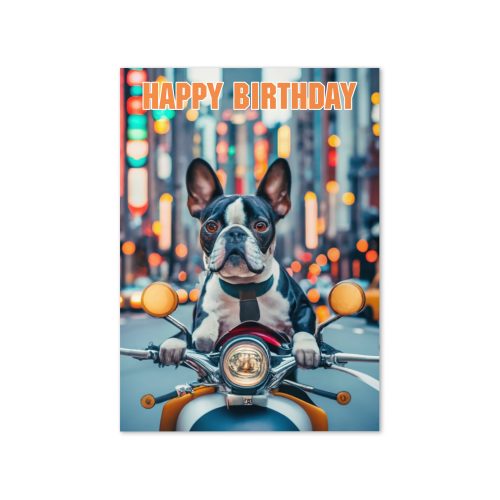 Boston Terrier Birthday Card