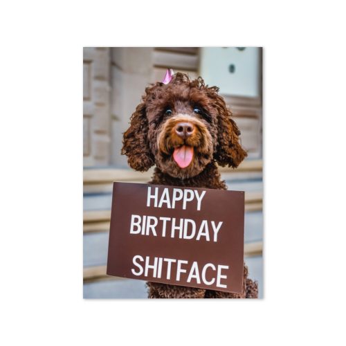 Happy Birthday Shitface Birthday Card