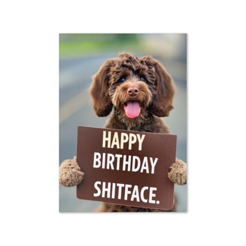 Happy Birthday Shitface Birthday Card