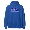 BHA Hoodie Brighton & Hove Albion Hoodie The Seagulls