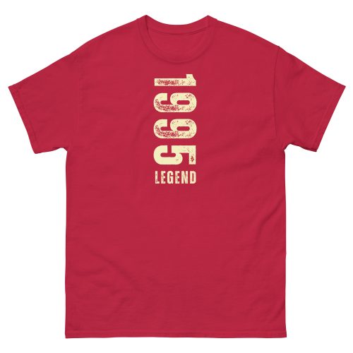 1995 Birthday T-shirt 30th Birthday T-shirt 1995 Legend