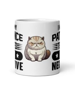 I Had My Patience Tested I'm Negative Mug