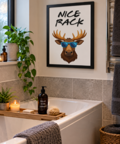 Nice Rack Funny Bathroom Pictures