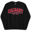 Calgary Alberta Varsity Sweatshirts Jumpers