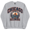 Chicago Illinois Varsity Sweatshirts Jumpers