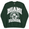 Miami Sunshine State Varsity Sweatshirts Jumpers
